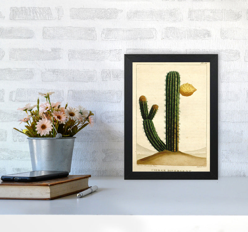 Vintage Cactus II Art Print by Jason Stanley A4 White Frame