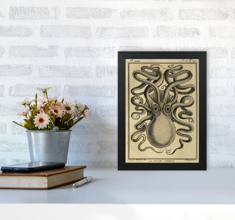 Vintage Octopus 2 Art Print by Jason Stanley A4 White Frame