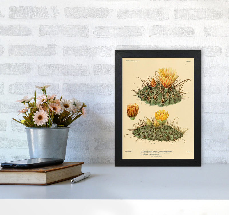 Cactus Series 9 Art Print by Jason Stanley A4 White Frame