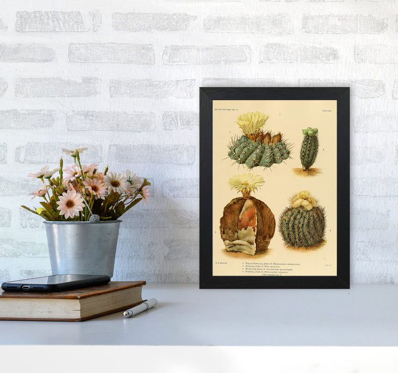 Cactus Series 16 Art Print by Jason Stanley A4 White Frame
