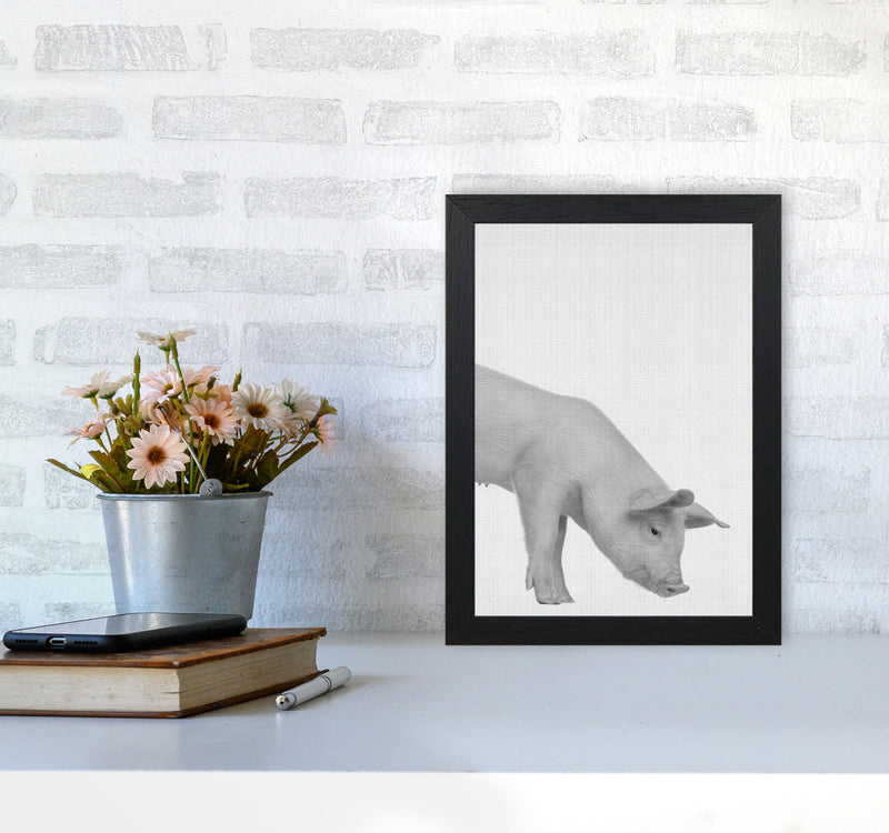 The Cleanest Pig Art Print by Jason Stanley A4 White Frame