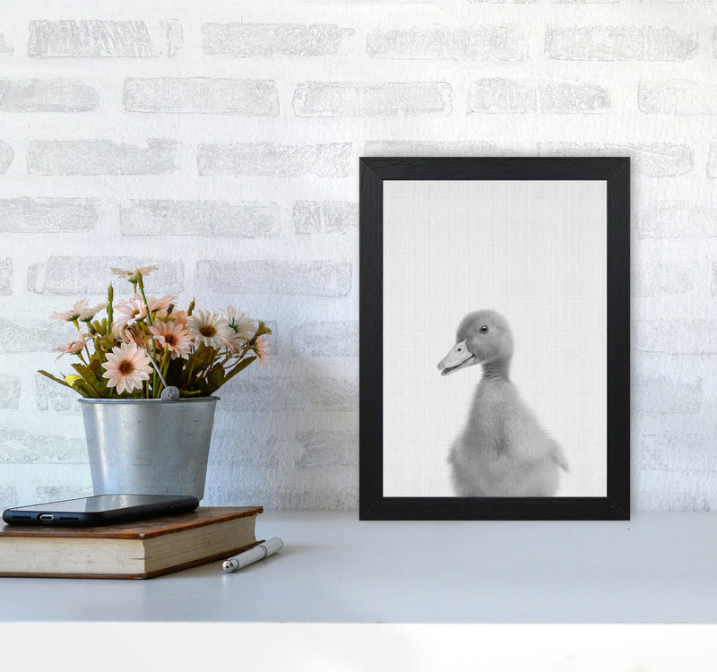 Curious Duck Art Print by Jason Stanley A4 White Frame