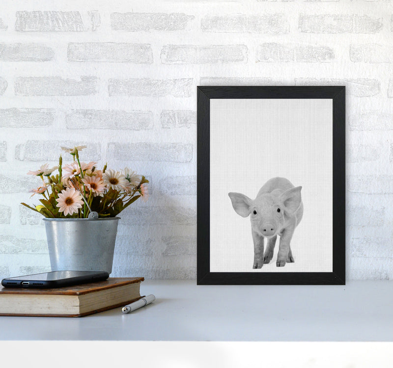 The Cutest Pig Art Print by Jason Stanley A4 White Frame