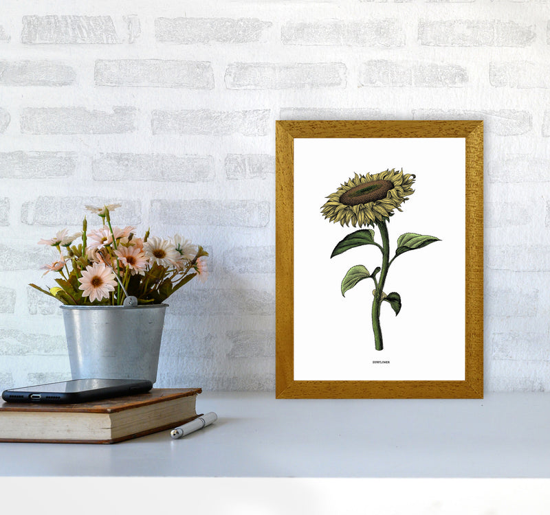 Sunflowers For President Art Print by Jason Stanley A4 Print Only