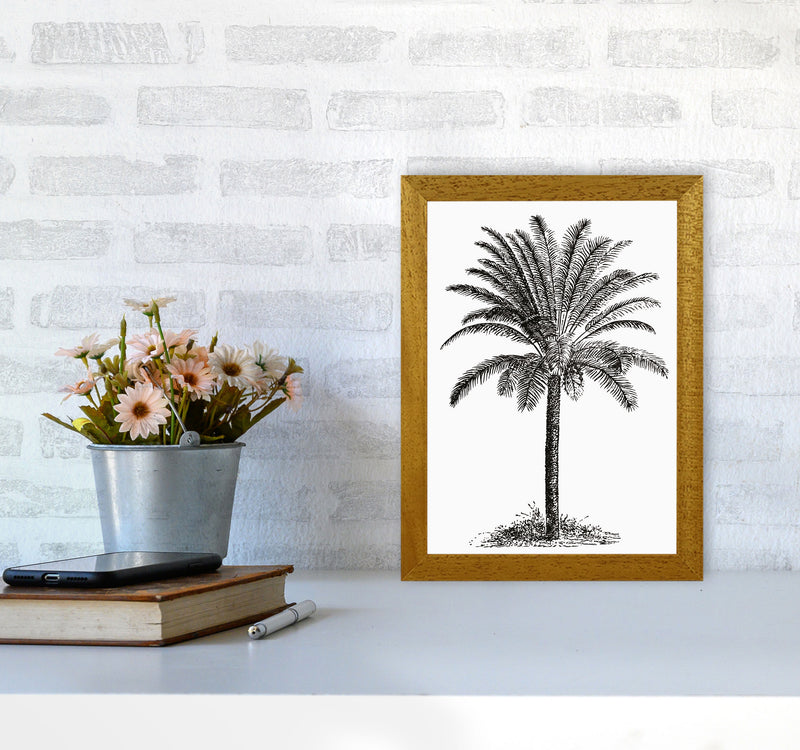 Vintage Palm Tree Art Print by Jason Stanley A4 Print Only