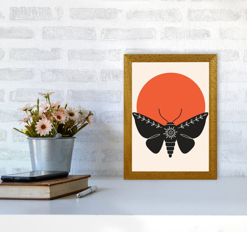 Sunshine Moth Art Print by Jason Stanley A4 Print Only