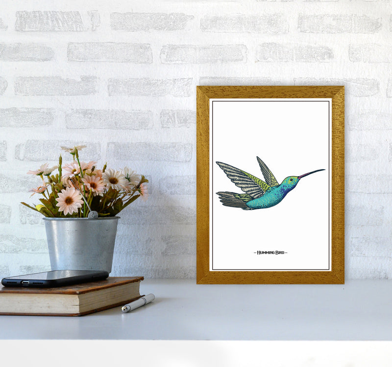 Humming Bird Art Print by Jason Stanley A4 Print Only