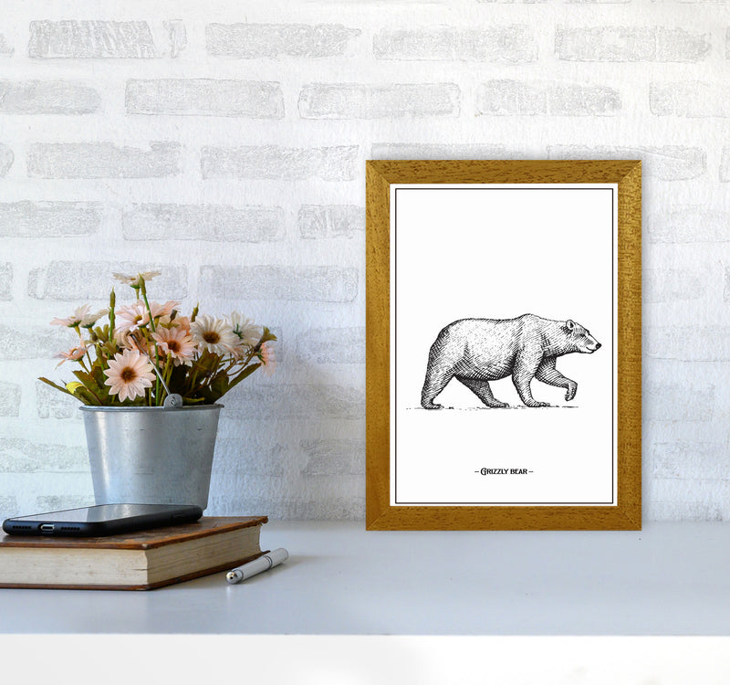 Grizzly Bear Art Print by Jason Stanley A4 Print Only
