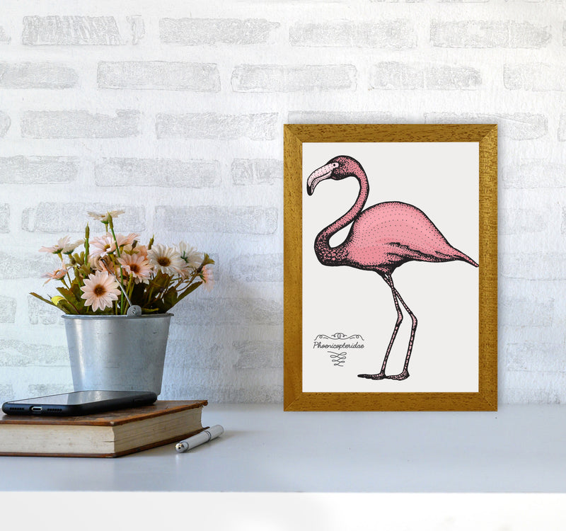 Flamingo Art Print by Jason Stanley A4 Print Only