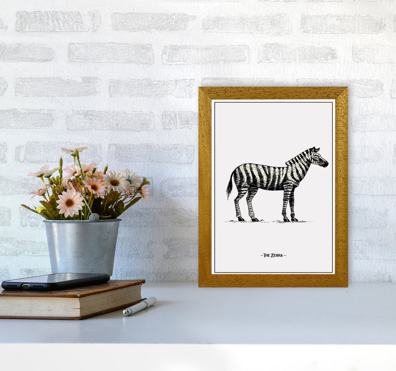 The Zebra Art Print by Jason Stanley A4 Print Only
