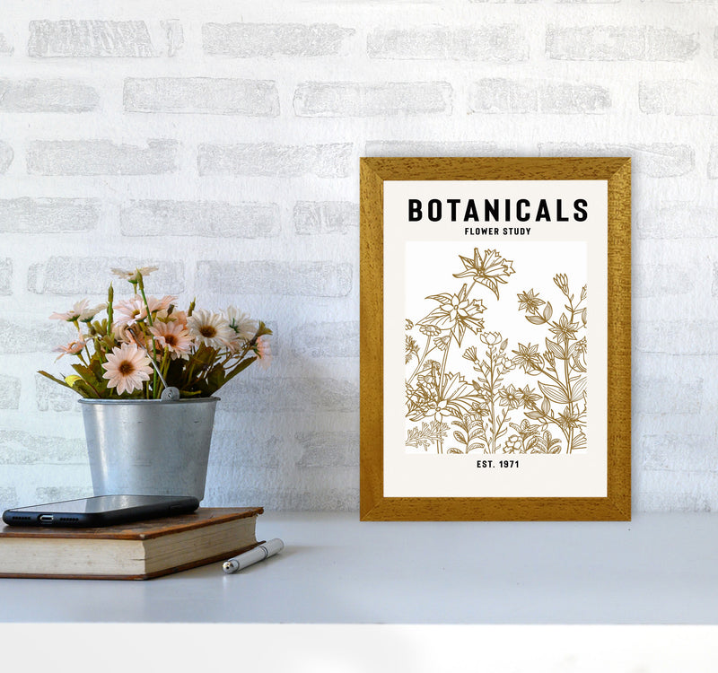 Botanicals Flower Study II Art Print by Jason Stanley A4 Print Only