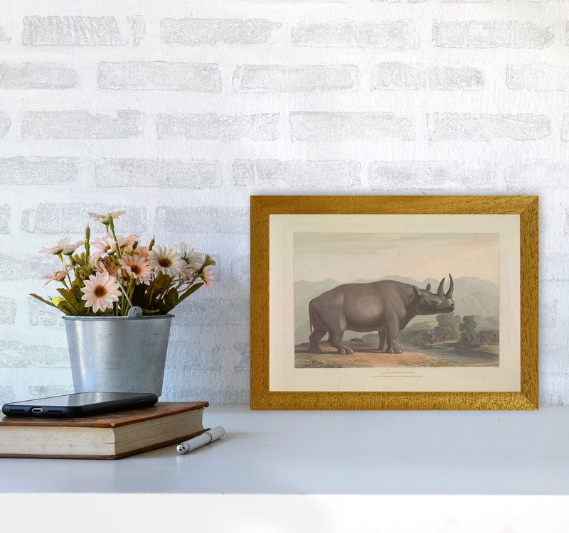 Vintage Rhino Illustration Art Print by Jason Stanley A4 Print Only