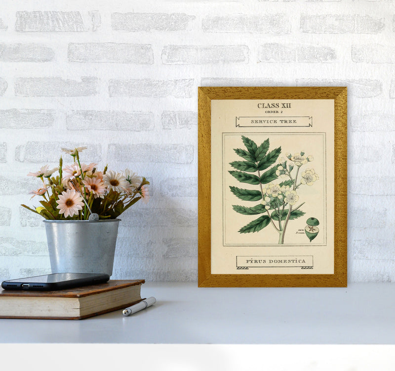 Vintage Flower Series 5 Art Print by Jason Stanley A4 Print Only