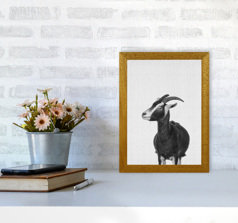 This Goat Takes The Cake Art Print by Jason Stanley A4 Print Only