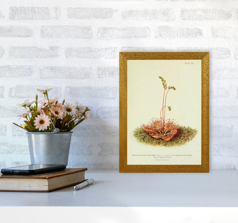 A Carnivorous Plant Art Print by Jason Stanley A4 Print Only
