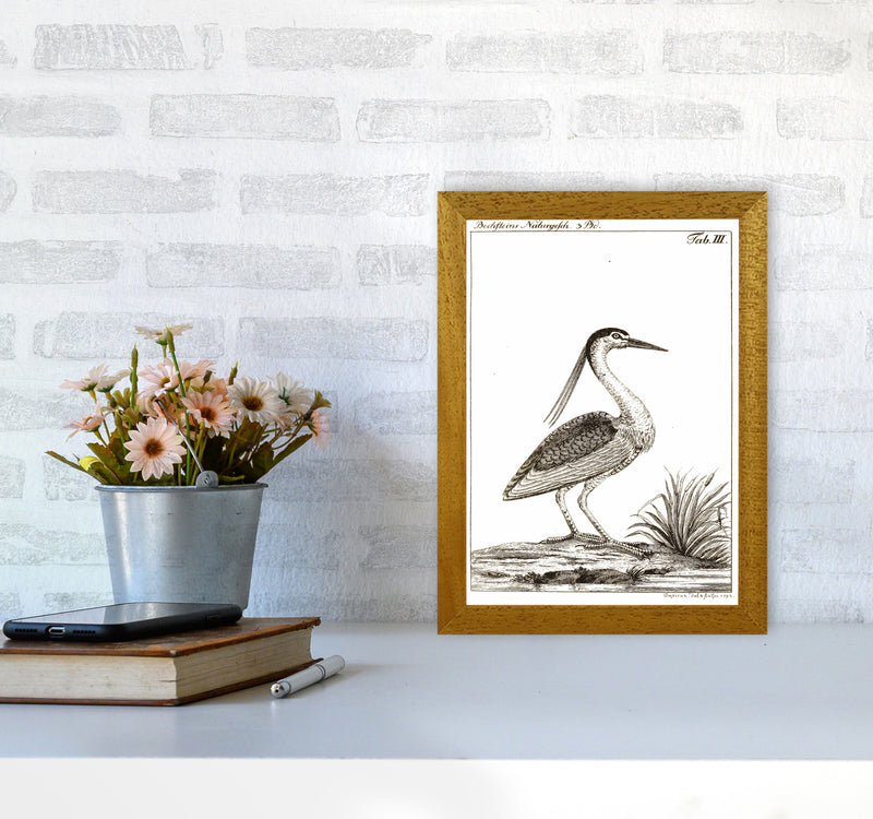 Vintage Hunting Bird Art Print by Jason Stanley A4 Print Only