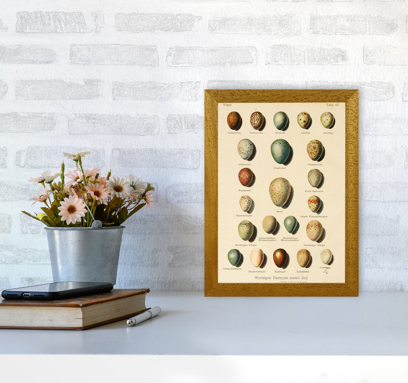 Vintage Set Of Eggs Art Print by Jason Stanley A4 Print Only
