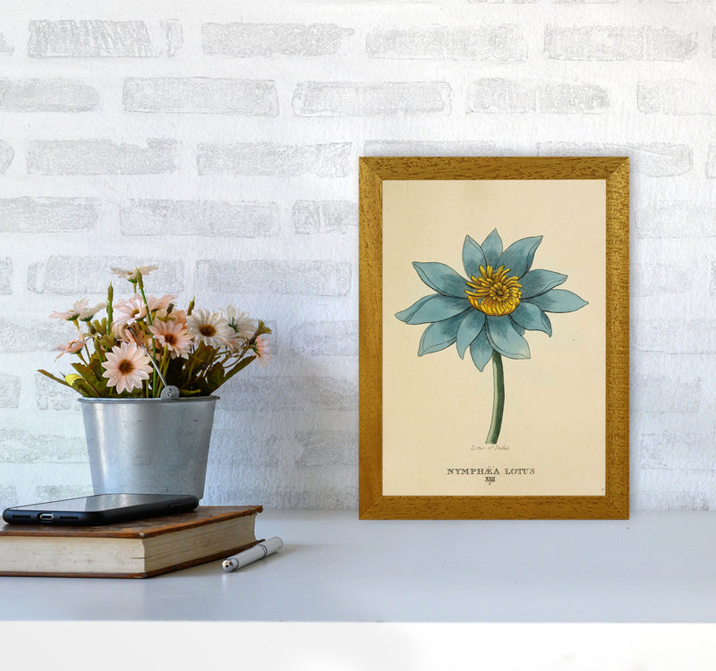 Vintage Lotus Flower Art Print by Jason Stanley A4 Print Only