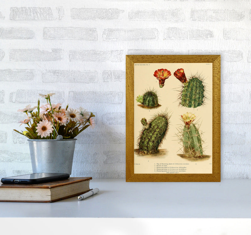 Cactus Series 1 Art Print by Jason Stanley A4 Print Only