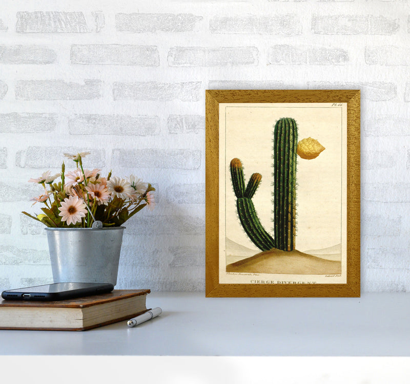 Vintage Cactus II Art Print by Jason Stanley A4 Print Only