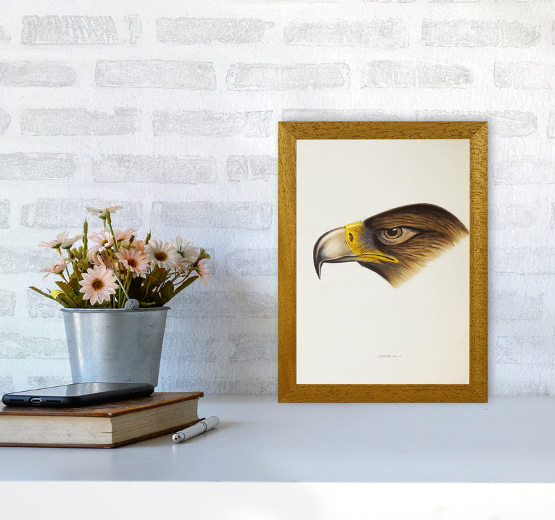 Vintage Eagle Face Art Print by Jason Stanley A4 Print Only
