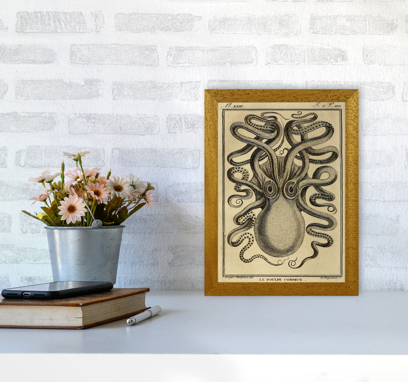 Vintage Octopus 2 Art Print by Jason Stanley A4 Print Only