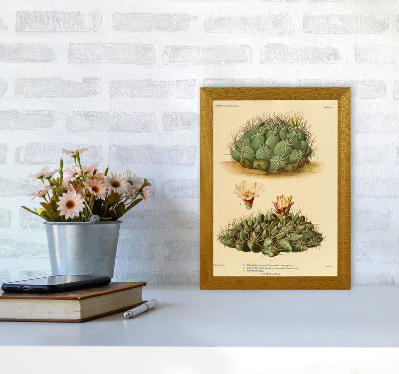 Cactus Series 12 Art Print by Jason Stanley A4 Print Only