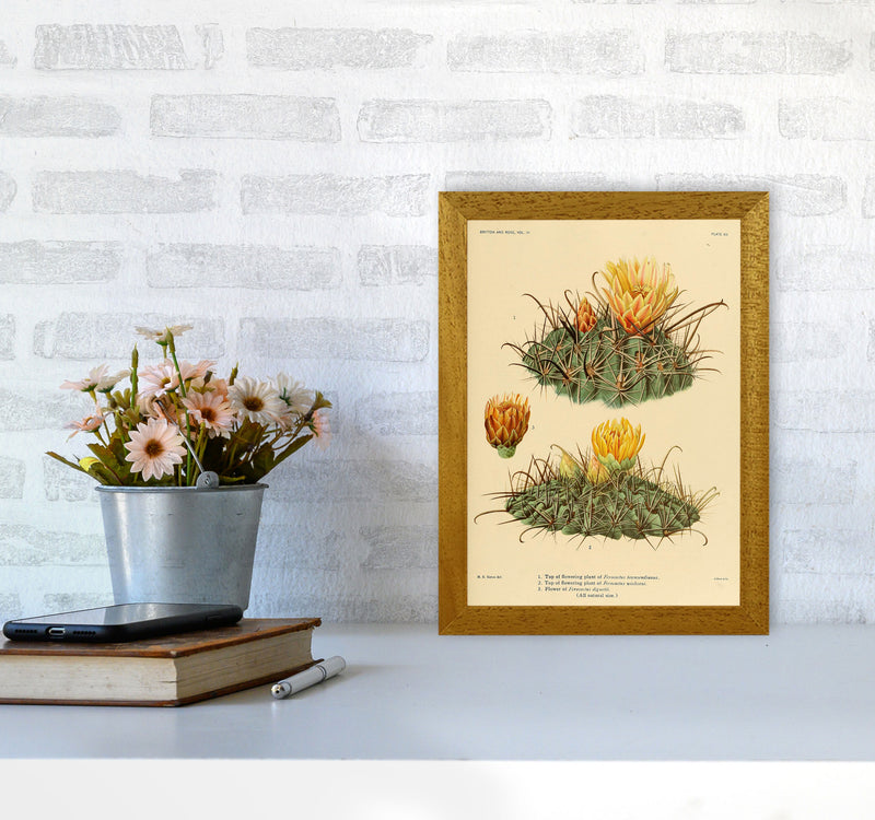 Cactus Series 9 Art Print by Jason Stanley A4 Print Only