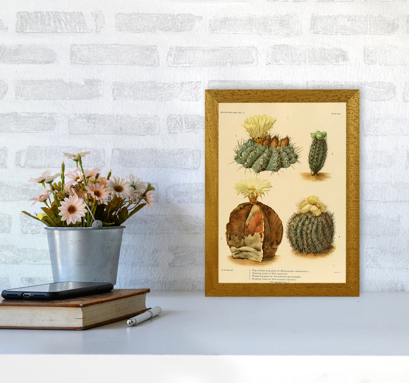 Cactus Series 16 Art Print by Jason Stanley A4 Print Only