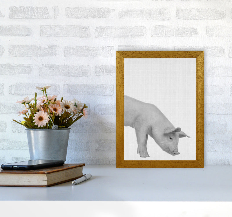 The Cleanest Pig Art Print by Jason Stanley A4 Print Only