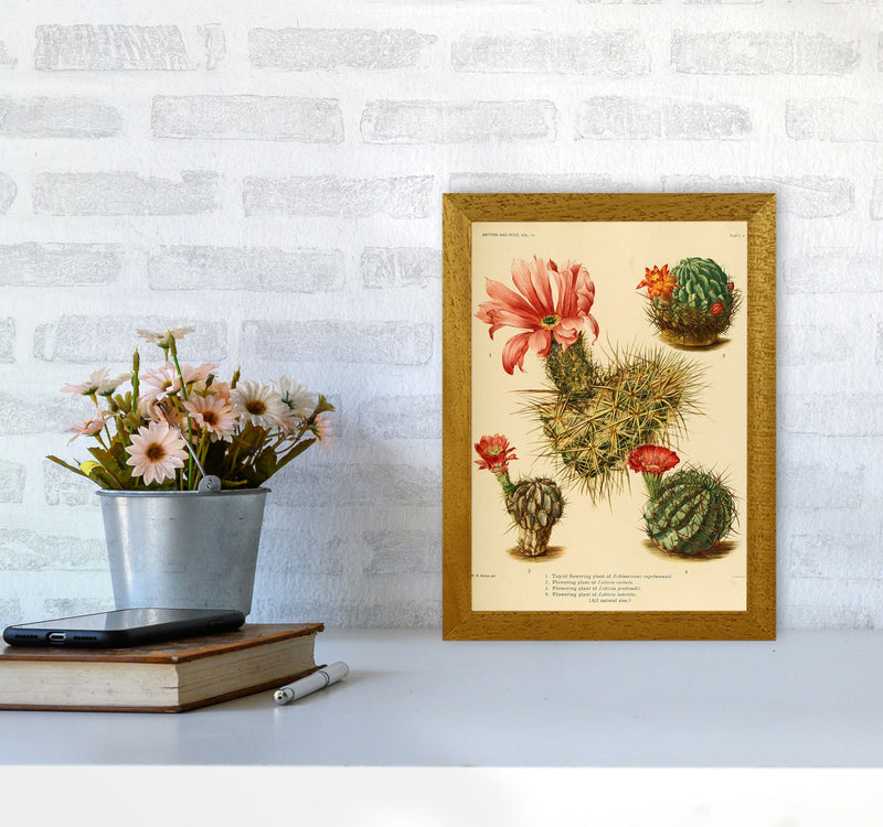 Cactus Series 4 Art Print by Jason Stanley A4 Print Only