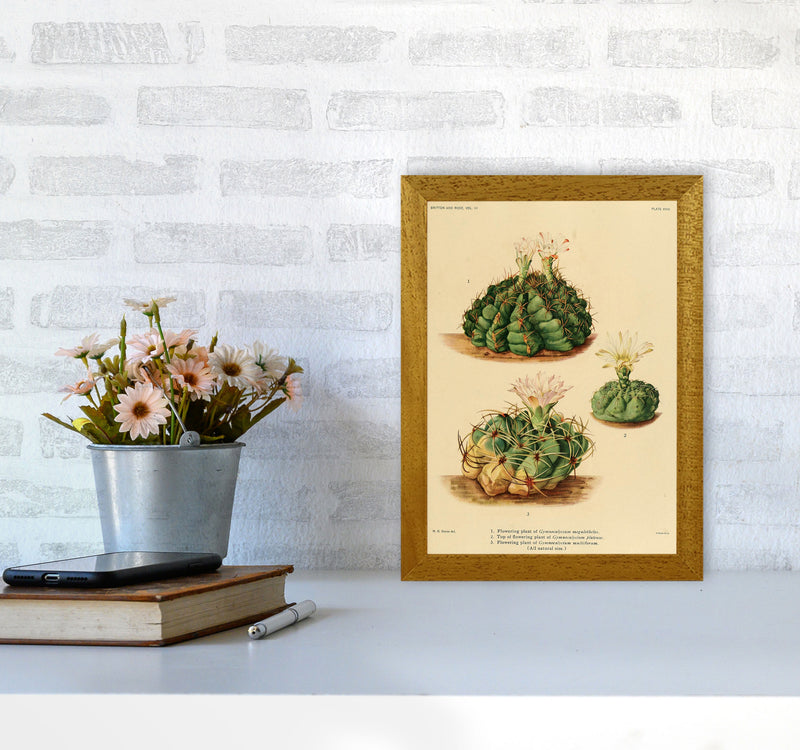 Cactus Series 13 Art Print by Jason Stanley A4 Print Only