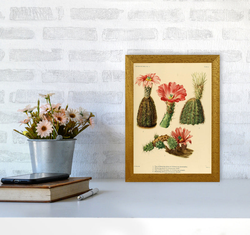 Cactus Series 2 Art Print by Jason Stanley A4 Print Only