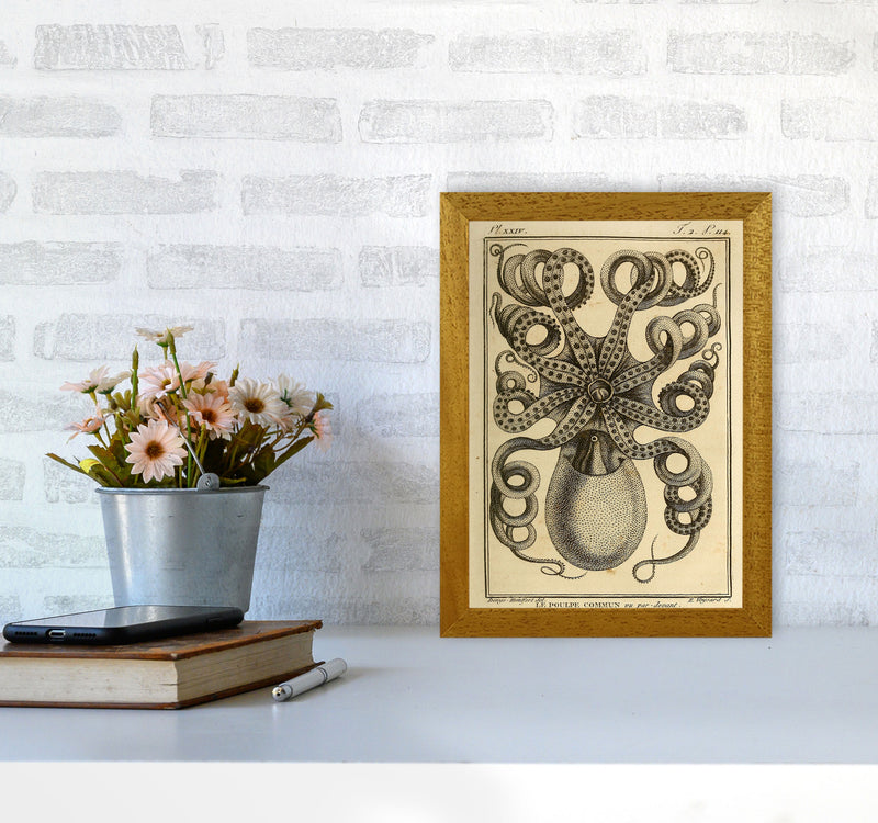 Vintage Octopus Art Print by Jason Stanley A4 Print Only