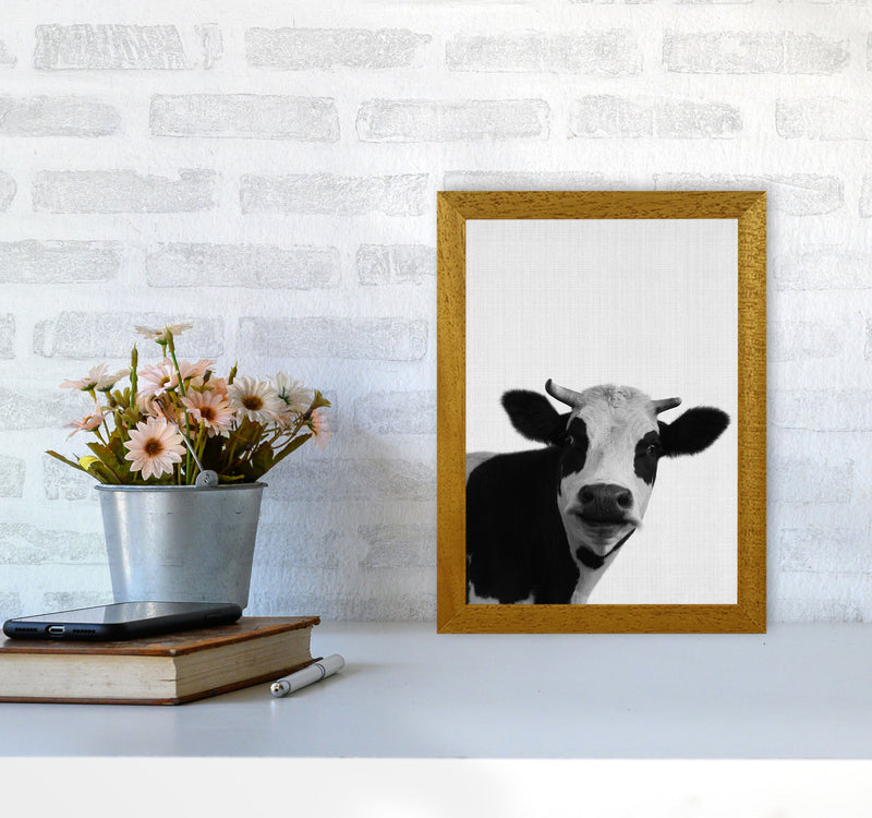 Holy Cow Art Print by Jason Stanley A4 Print Only