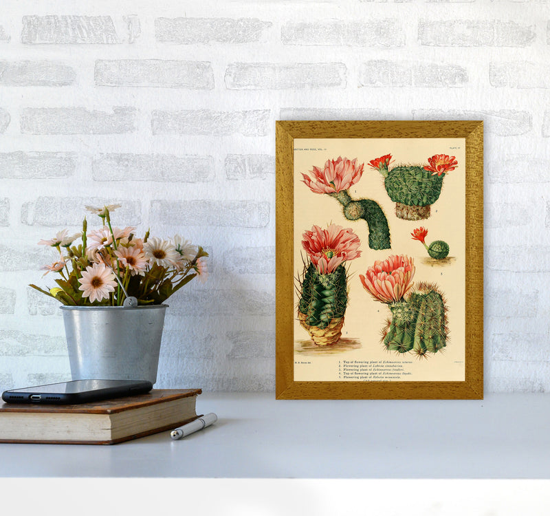 Cactus Series 3 Art Print by Jason Stanley A4 Print Only