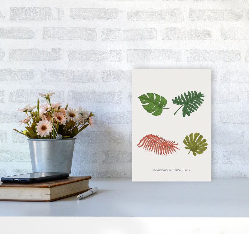 Identification Of Tropical Plants Art Print by Jason Stanley A4 Black Frame