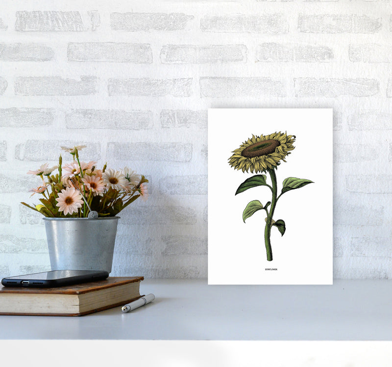 Sunflowers For President Art Print by Jason Stanley A4 Black Frame