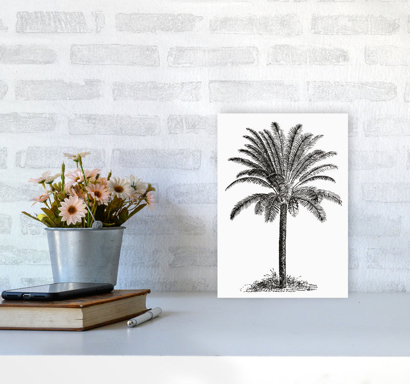 Vintage Palm Tree Art Print by Jason Stanley A4 Black Frame