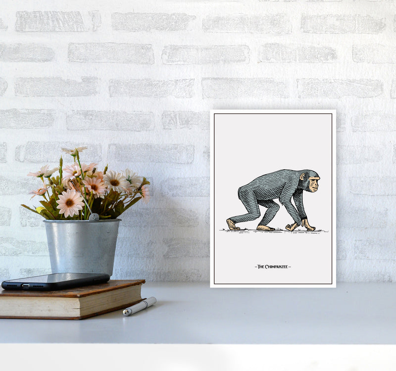 The Chimpanzee Art Print by Jason Stanley A4 Black Frame