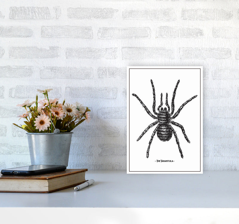 The Tarantula Art Print by Jason Stanley A4 Black Frame