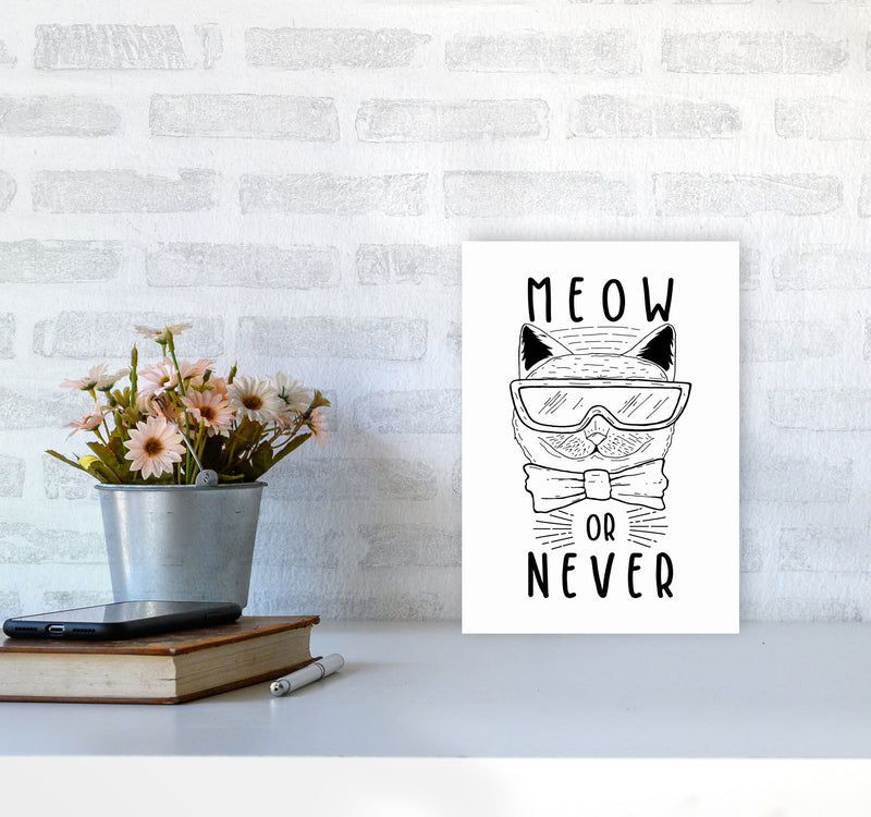 Meow Or Never Art Print by Jason Stanley A4 Black Frame