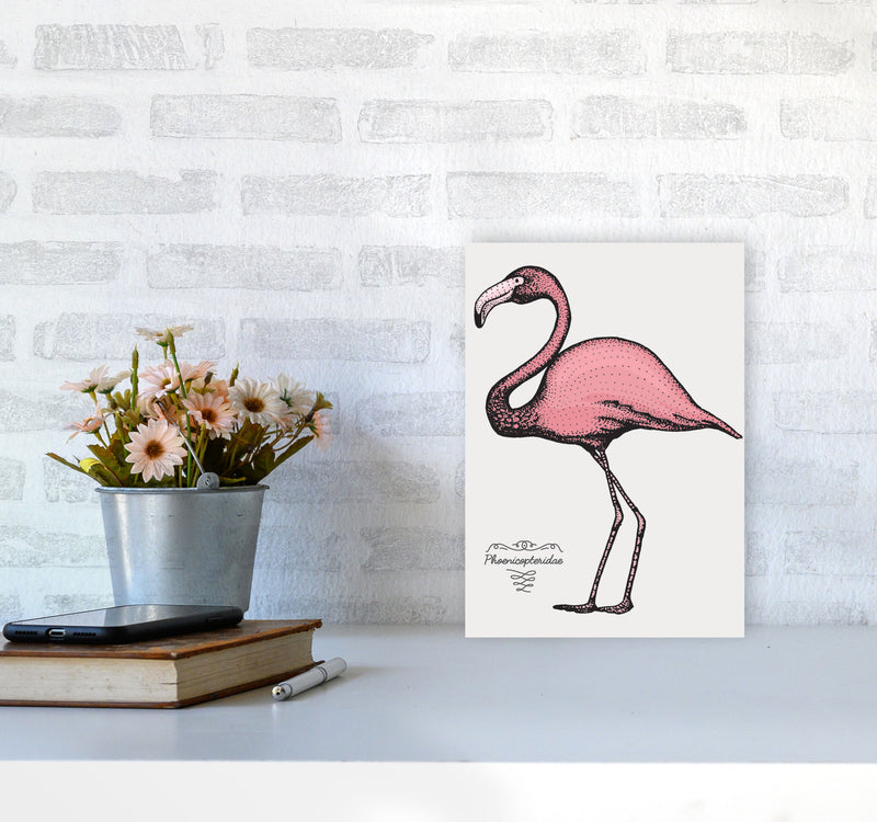 Flamingo Art Print by Jason Stanley A4 Black Frame