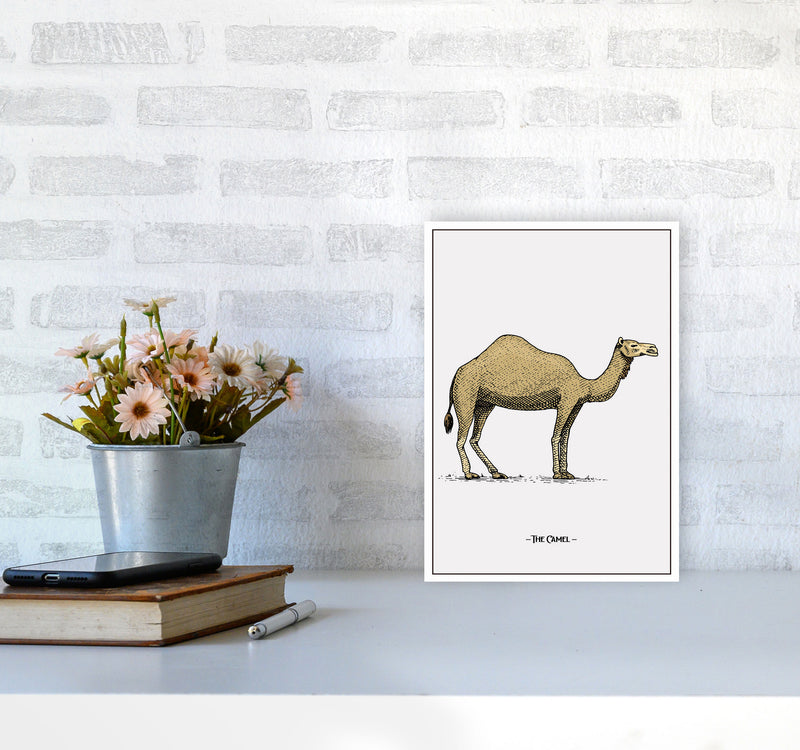 The Camel Art Print by Jason Stanley A4 Black Frame