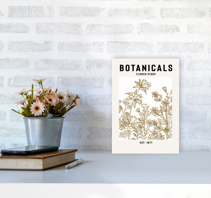 Botanicals Flower Study II Art Print by Jason Stanley A4 Black Frame