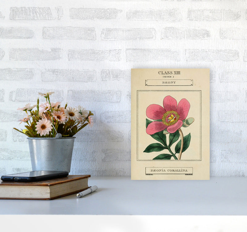 Vintage Flower Series 6 Art Print by Jason Stanley A4 Black Frame