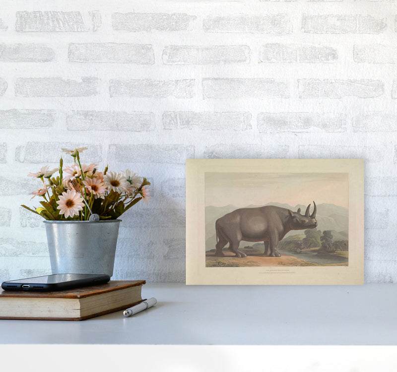 Vintage Rhino Illustration Art Print by Jason Stanley A4 Black Frame