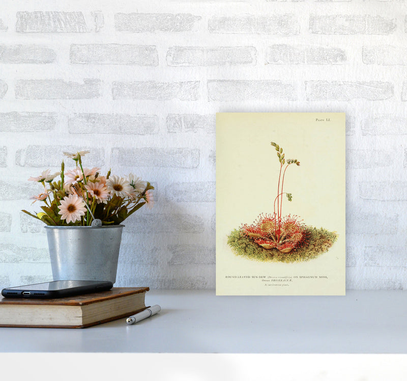 A Carnivorous Plant Art Print by Jason Stanley A4 Black Frame