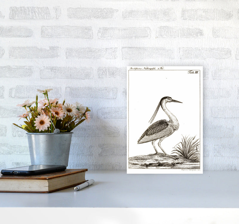 Vintage Hunting Bird Art Print by Jason Stanley A4 Black Frame