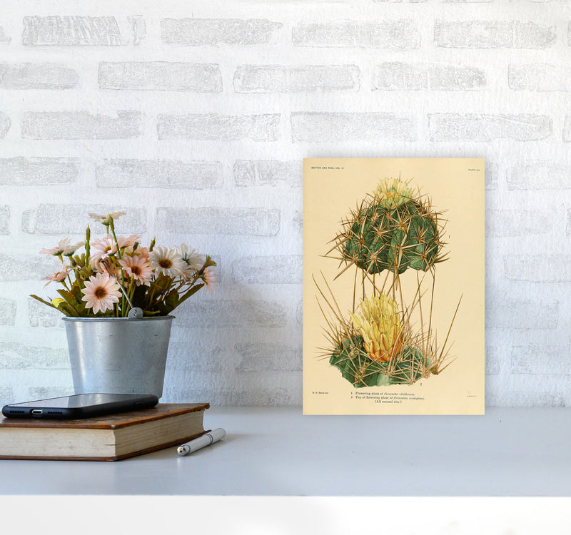 Cactus Series 10 Art Print by Jason Stanley A4 Black Frame